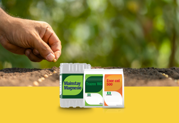 Acumuladores de energía plantas