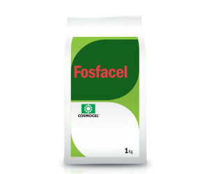 bioestimulador fosfacel plantas