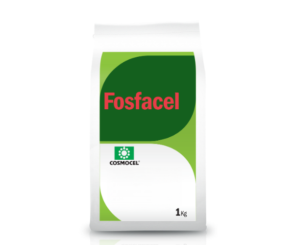 bioestimulador fosfacel plantas