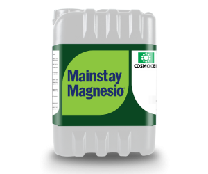Adaptador mainStat-Calcio+