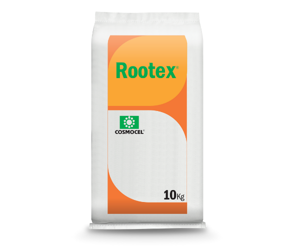 Orientador Rootex